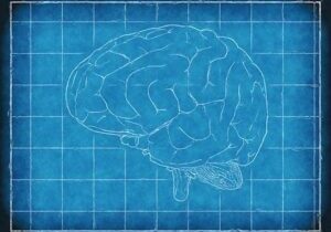 brain-1845941__340 brain-1845941__340